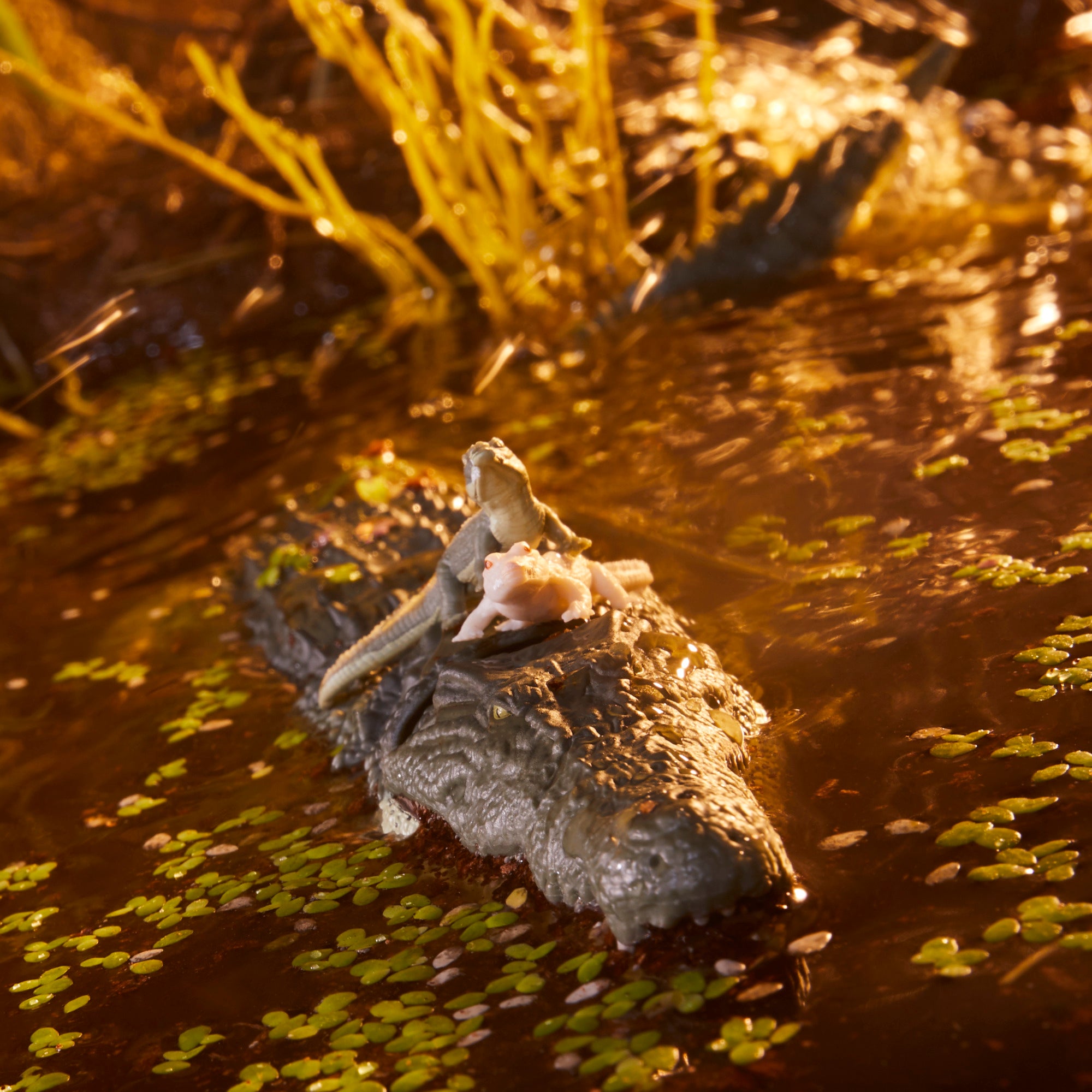 G.I. Joe Classified Series Croc Master wide stance in swamp diorama holding chain with Fiona at his feet