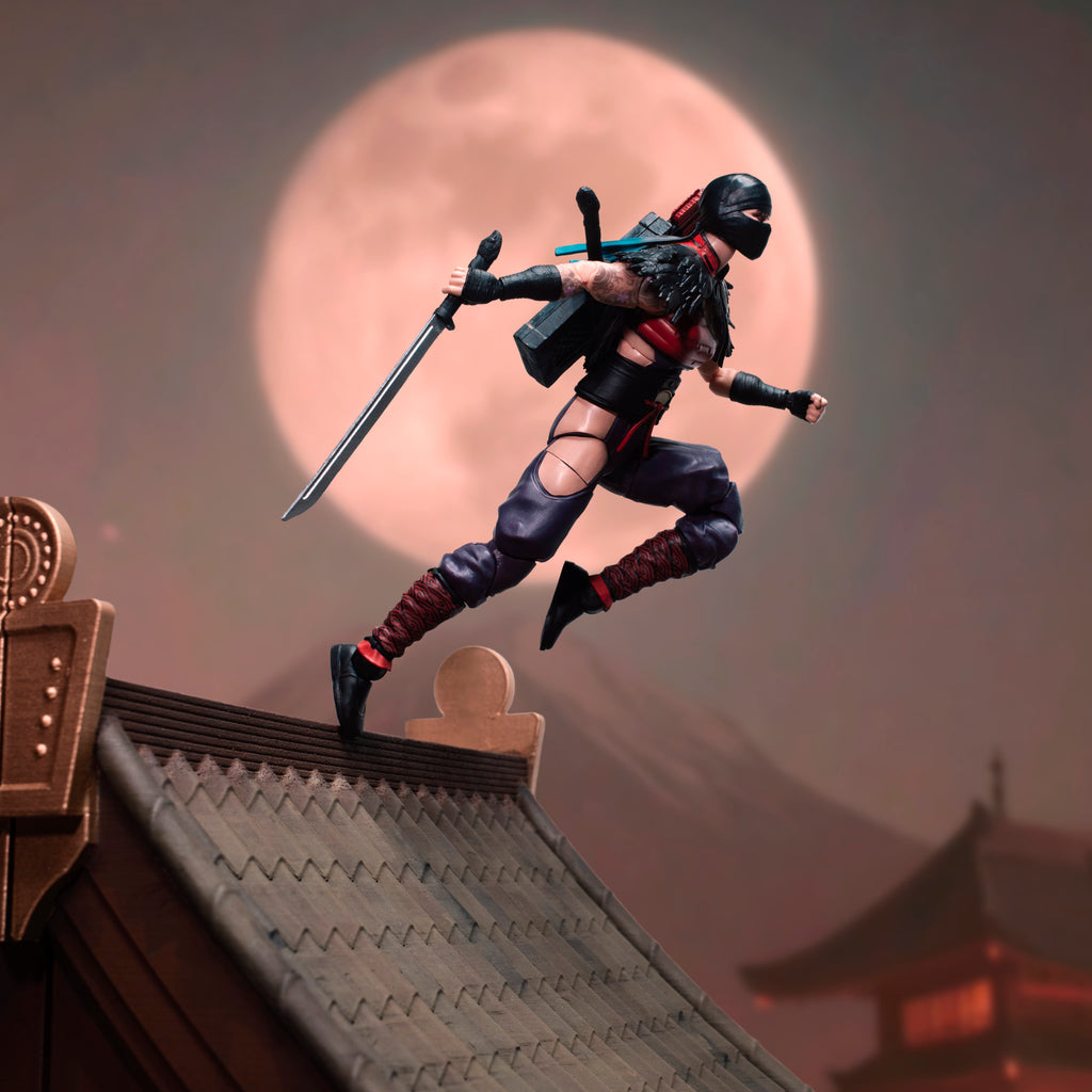 G.I. Joe Classified Series #223, Ninja Force Snake Eyes & Kim "Jinx" Arashikage