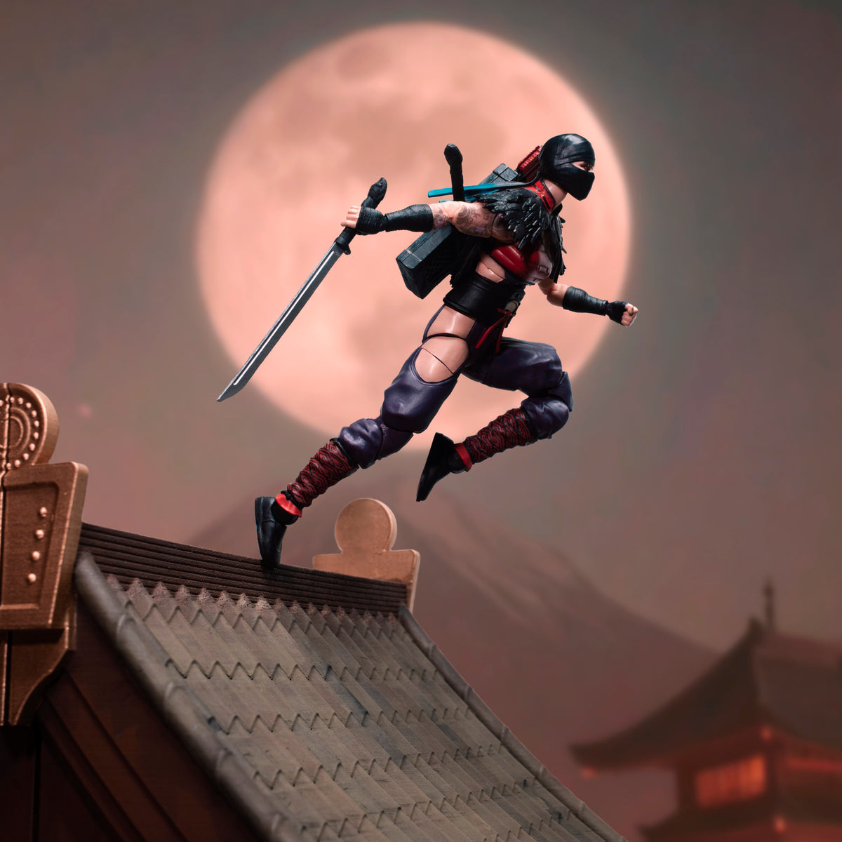G.I. Joe Classified Series #223, Ninja Force Snake Eyes & Kim "Jinx" Arashikage