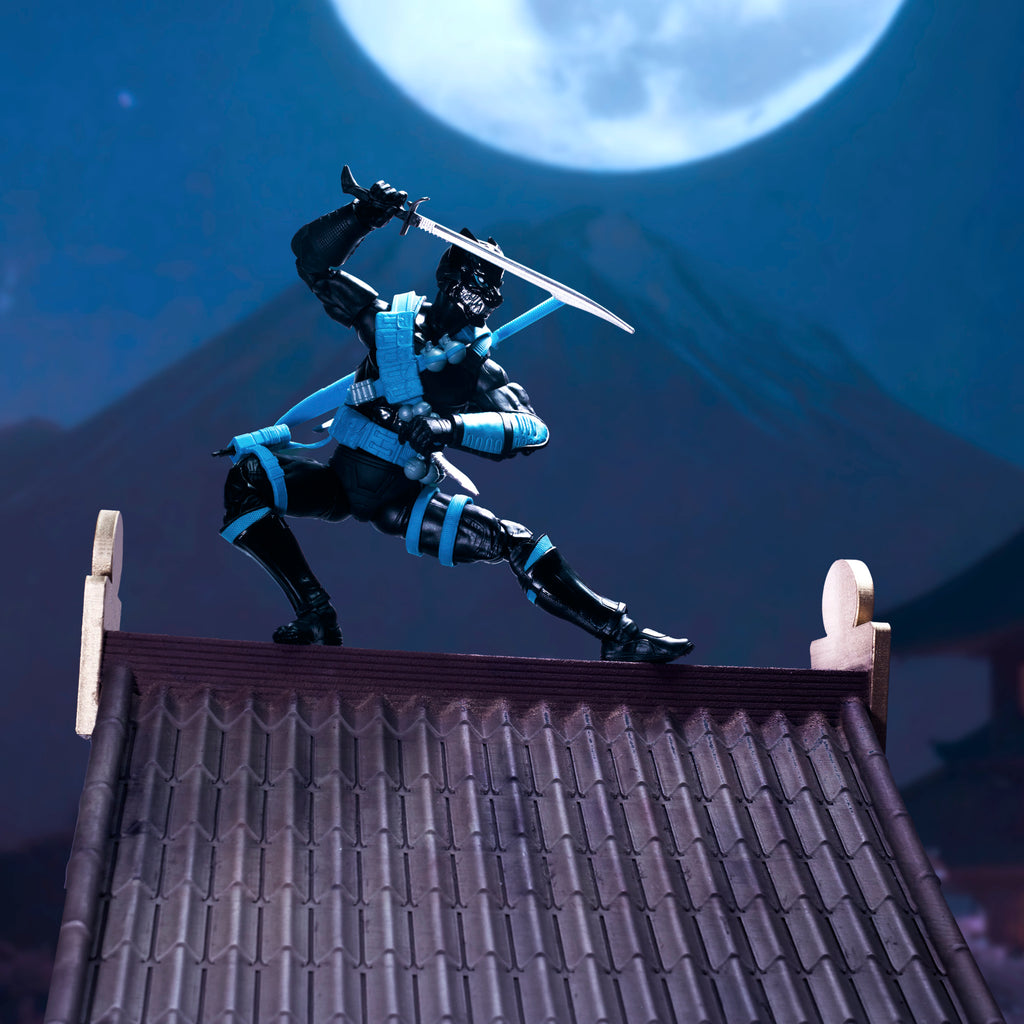 G.I. Joe Classified Series #223, Ninja Force Snake Eyes & Kim "Jinx" Arashikage