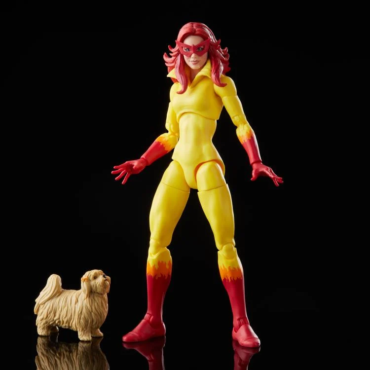 Marvel Legends Series Spider-Man and His Amazing Friends Multipack Action Figures (6")